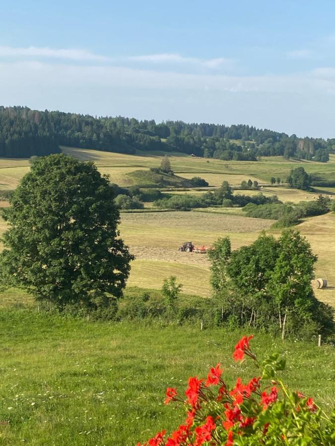 Chez Jeremy - Appartement De Edmond Les Villedieu (Doubs) エクステリア 写真